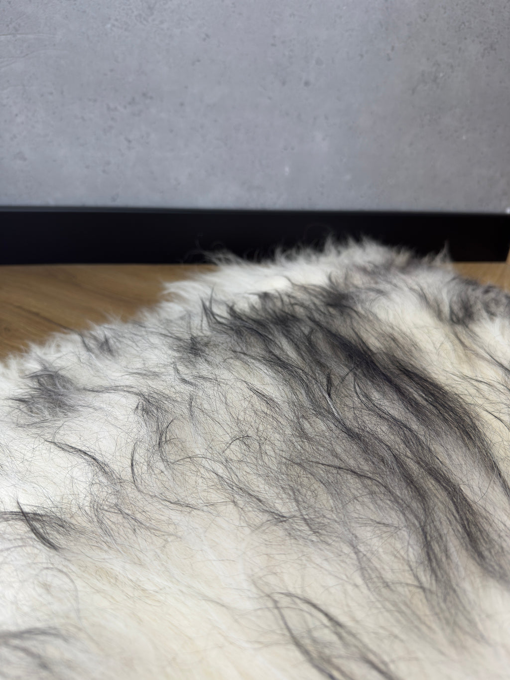 Large Icelandic white and black sheepskin Rug