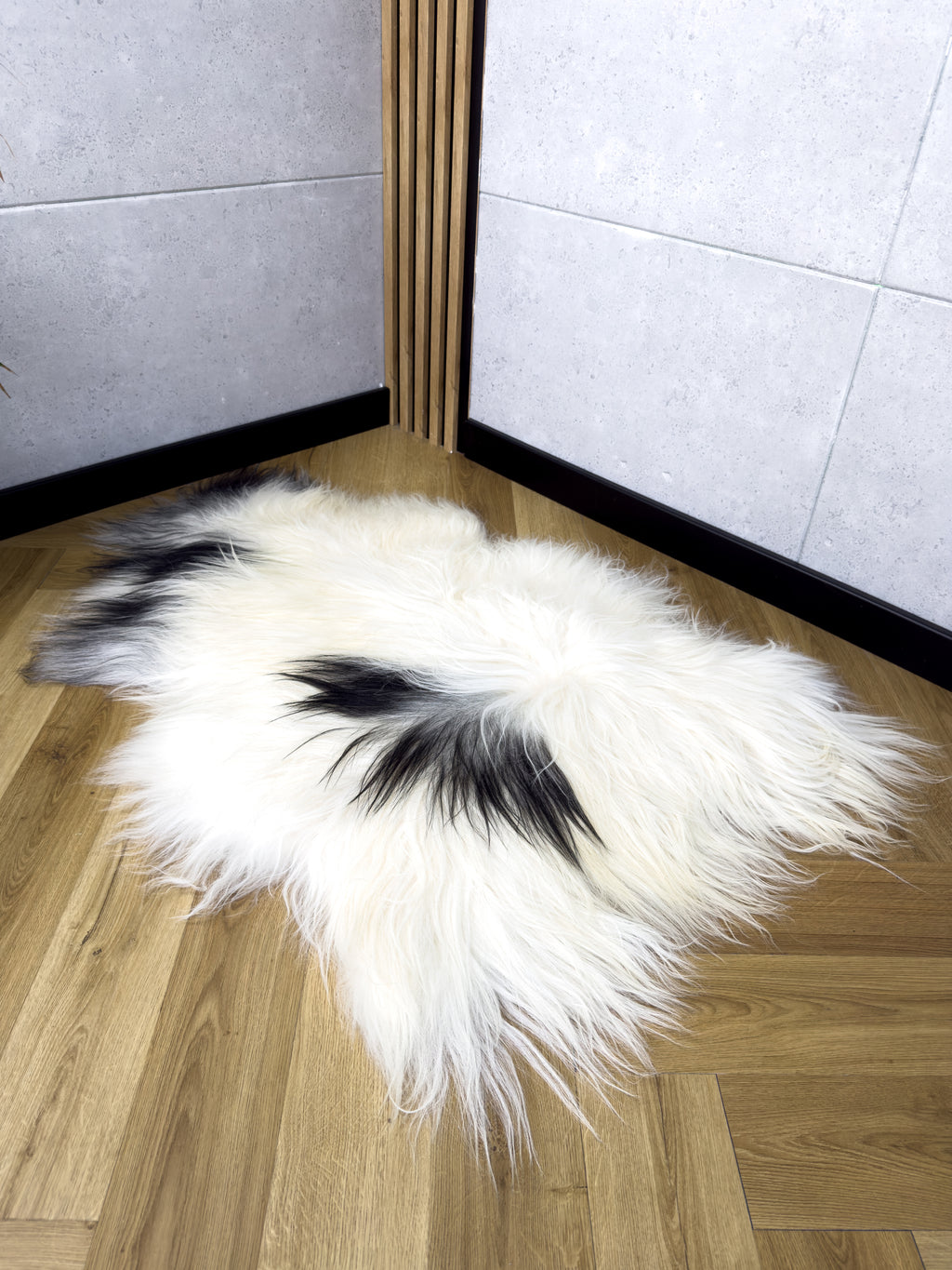 Large Icelandic white and black sheepskin Rug