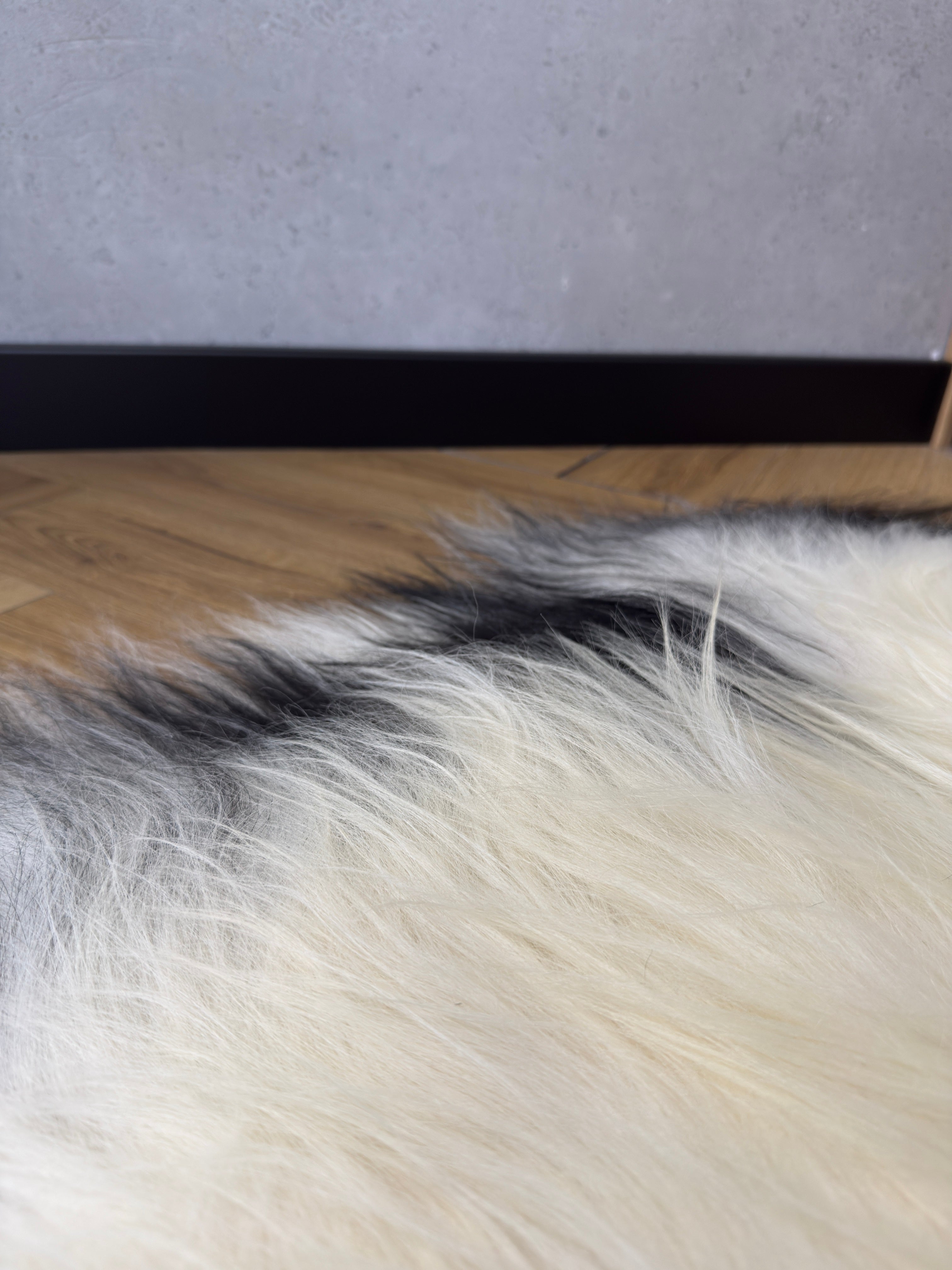 Large Icelandic white and black sheepskin Rug