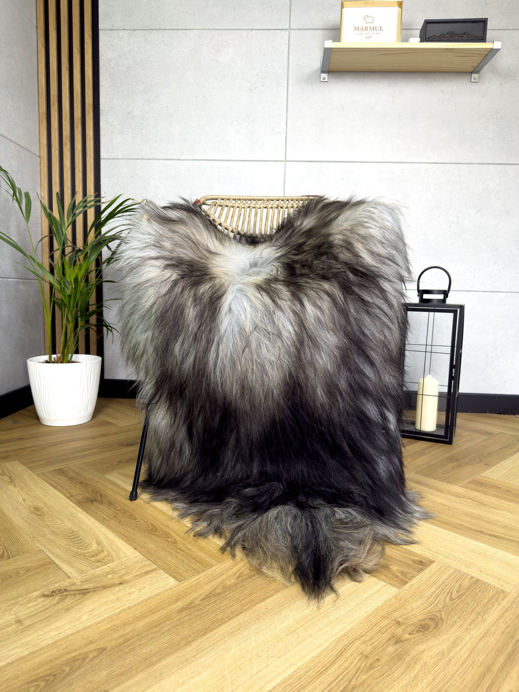 Large Icelandic Tricolor sheepskin Rug
