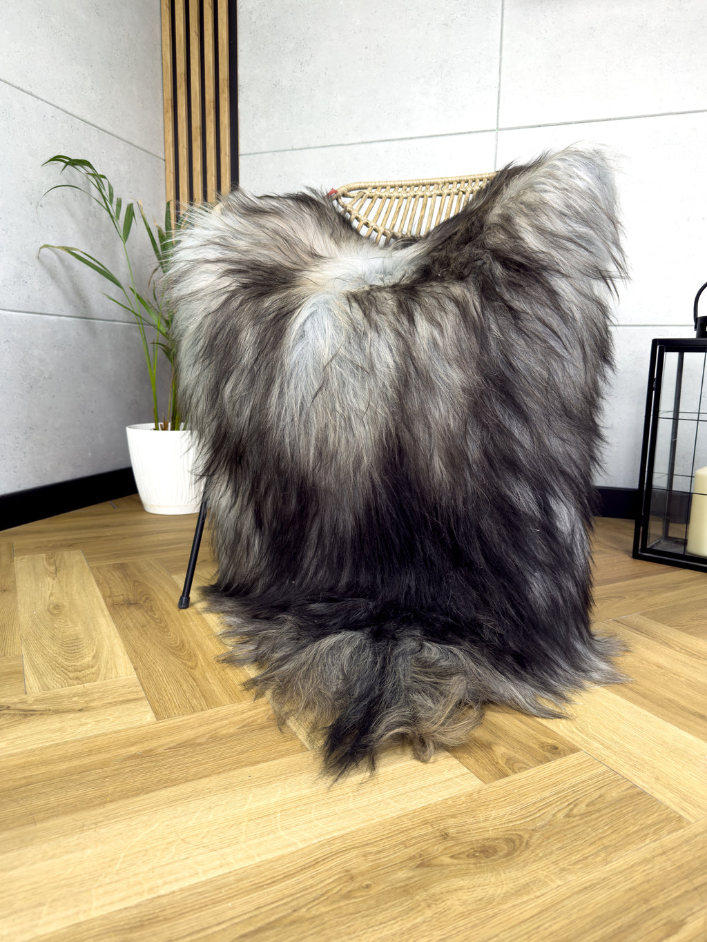 Large Icelandic Tricolor sheepskin Rug