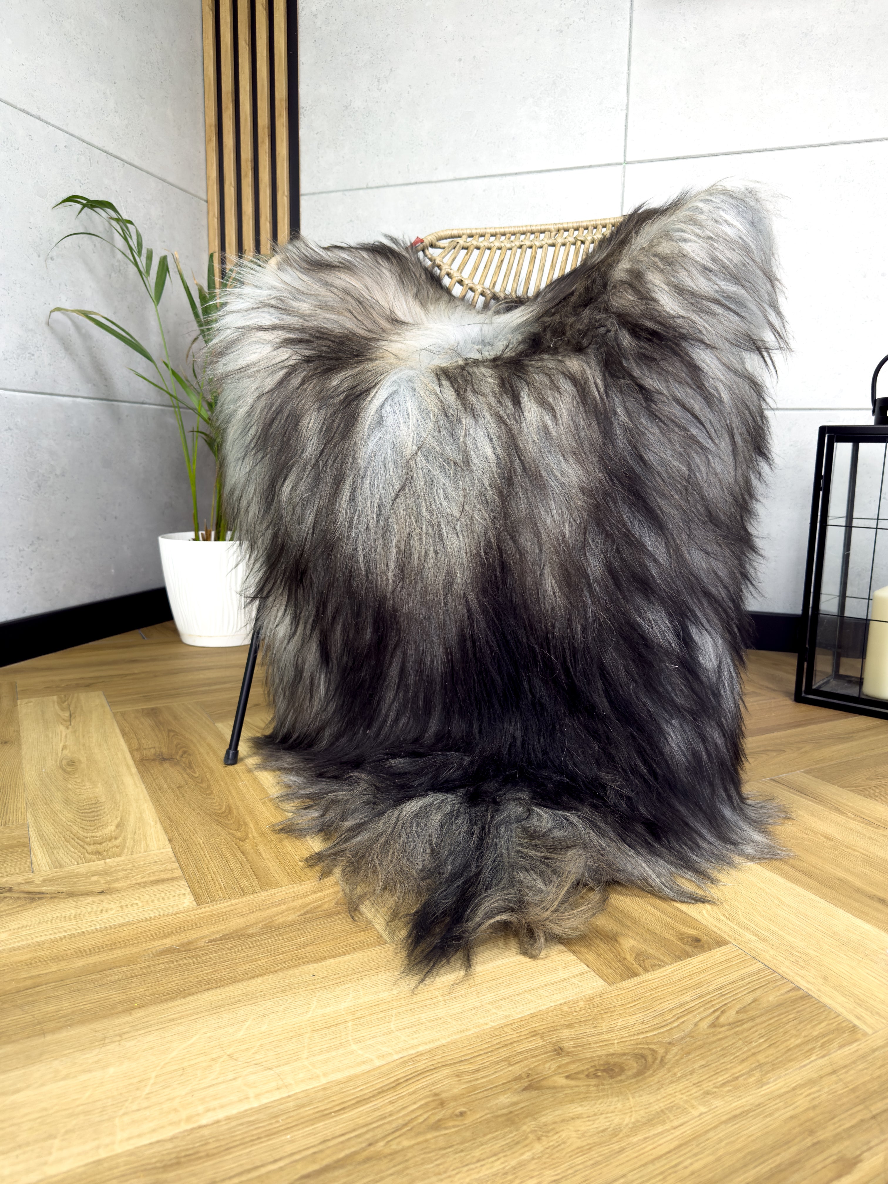 Large Icelandic Tricolor sheepskin Rug