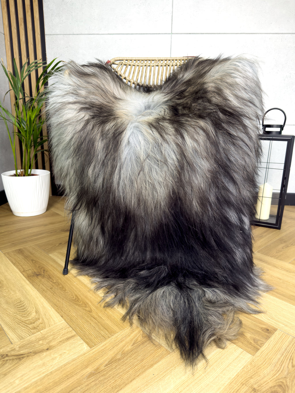 Large Icelandic Tricolor sheepskin Rug