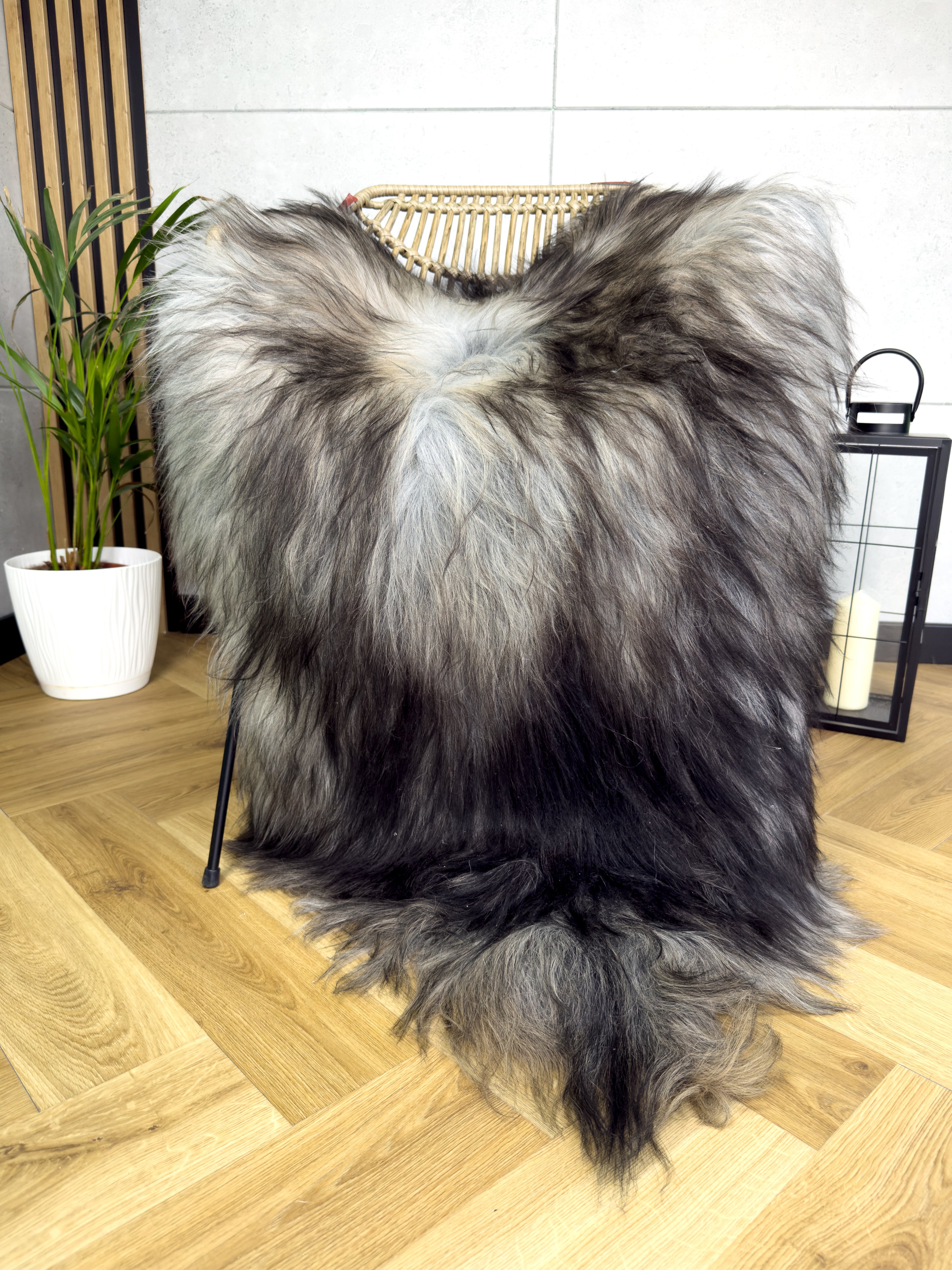 Large Icelandic Tricolor sheepskin Rug