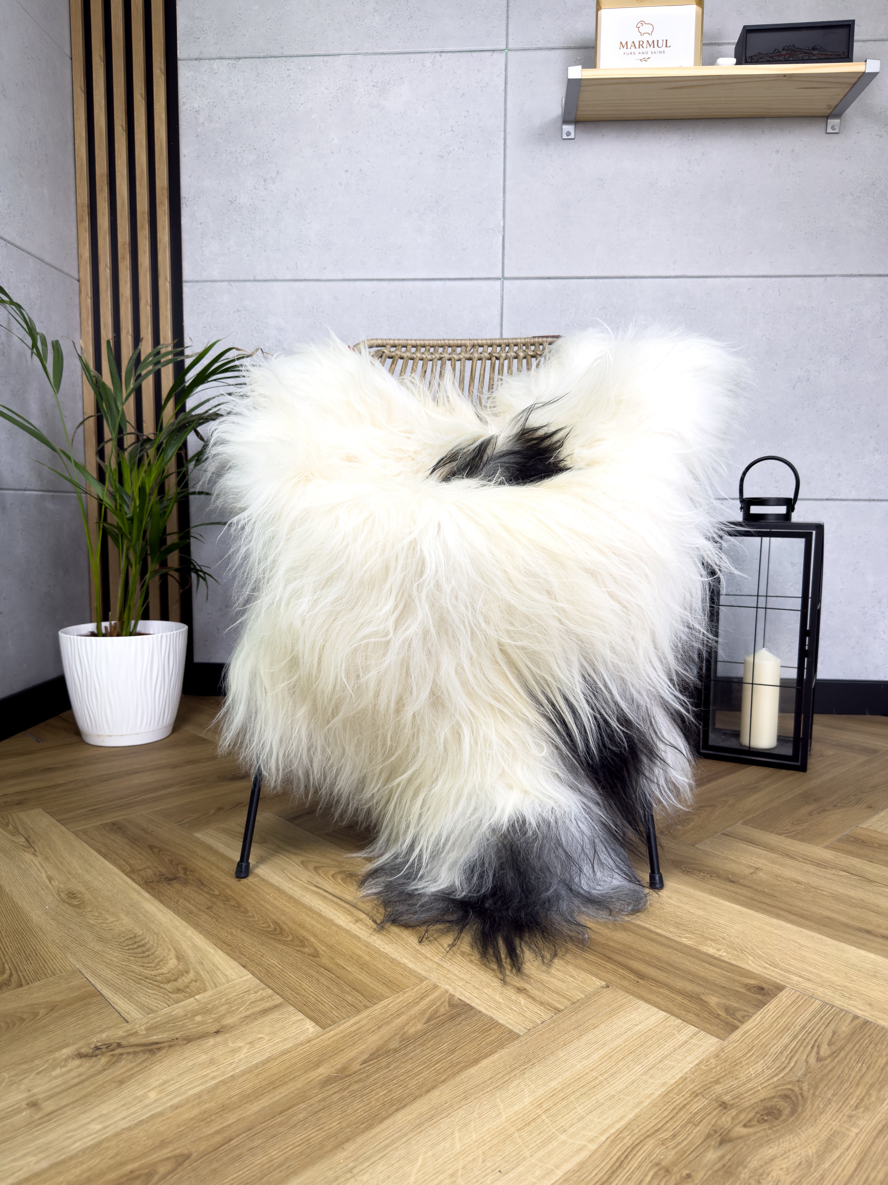Large Icelandic white and black sheepskin Rug