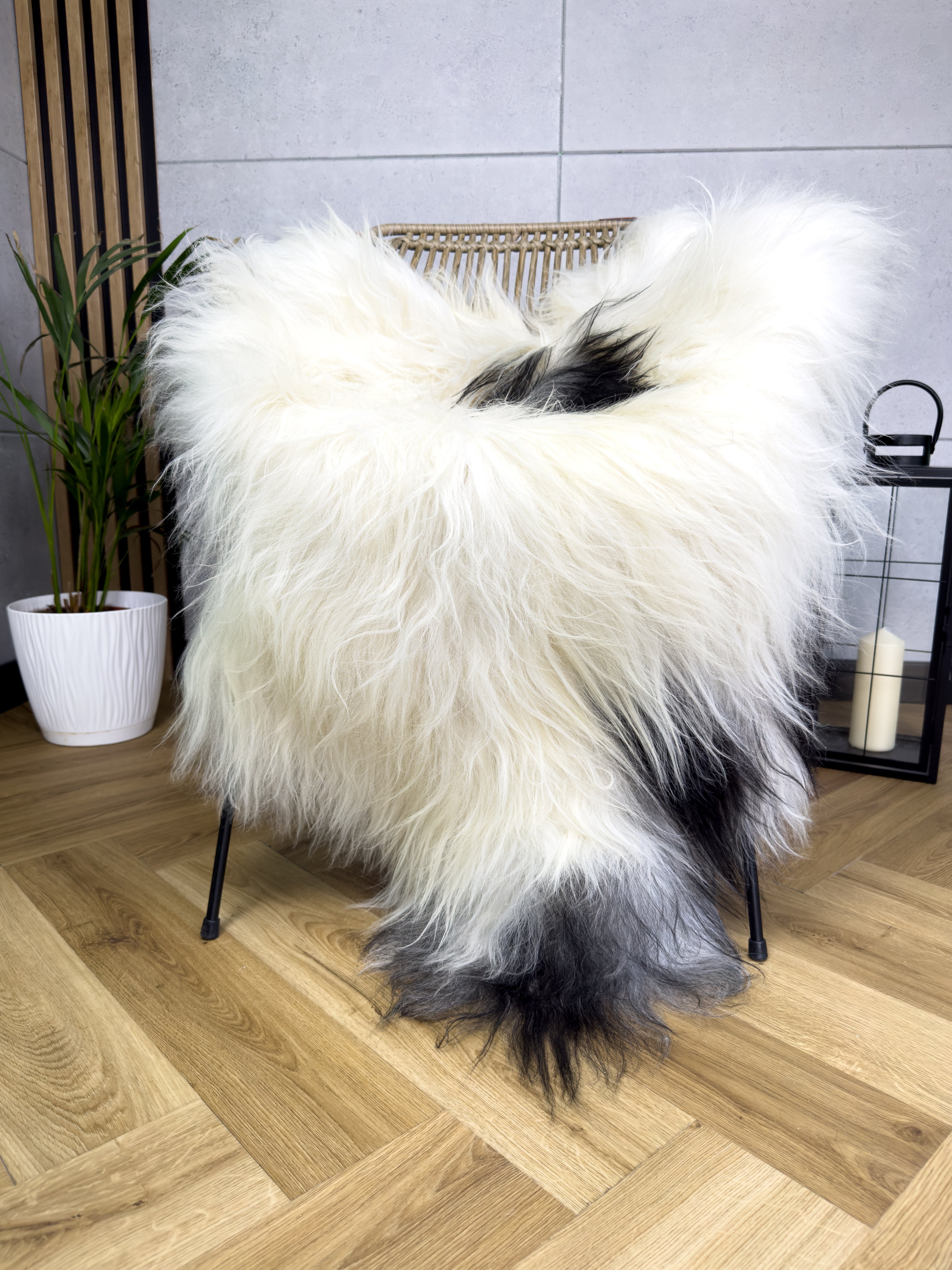 Large Icelandic white and black sheepskin Rug