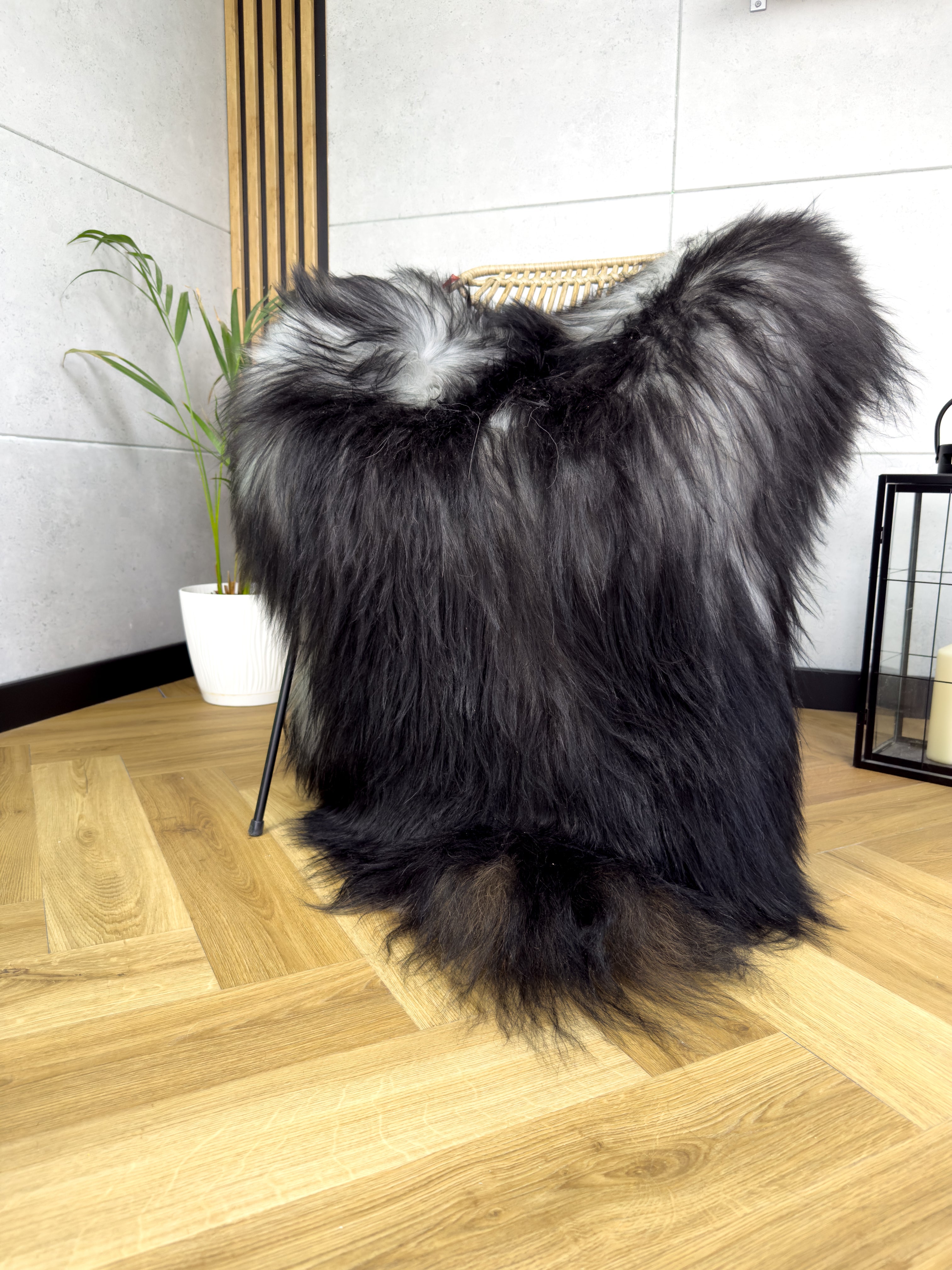 Large Icelandic black and gray sheepskin Rug