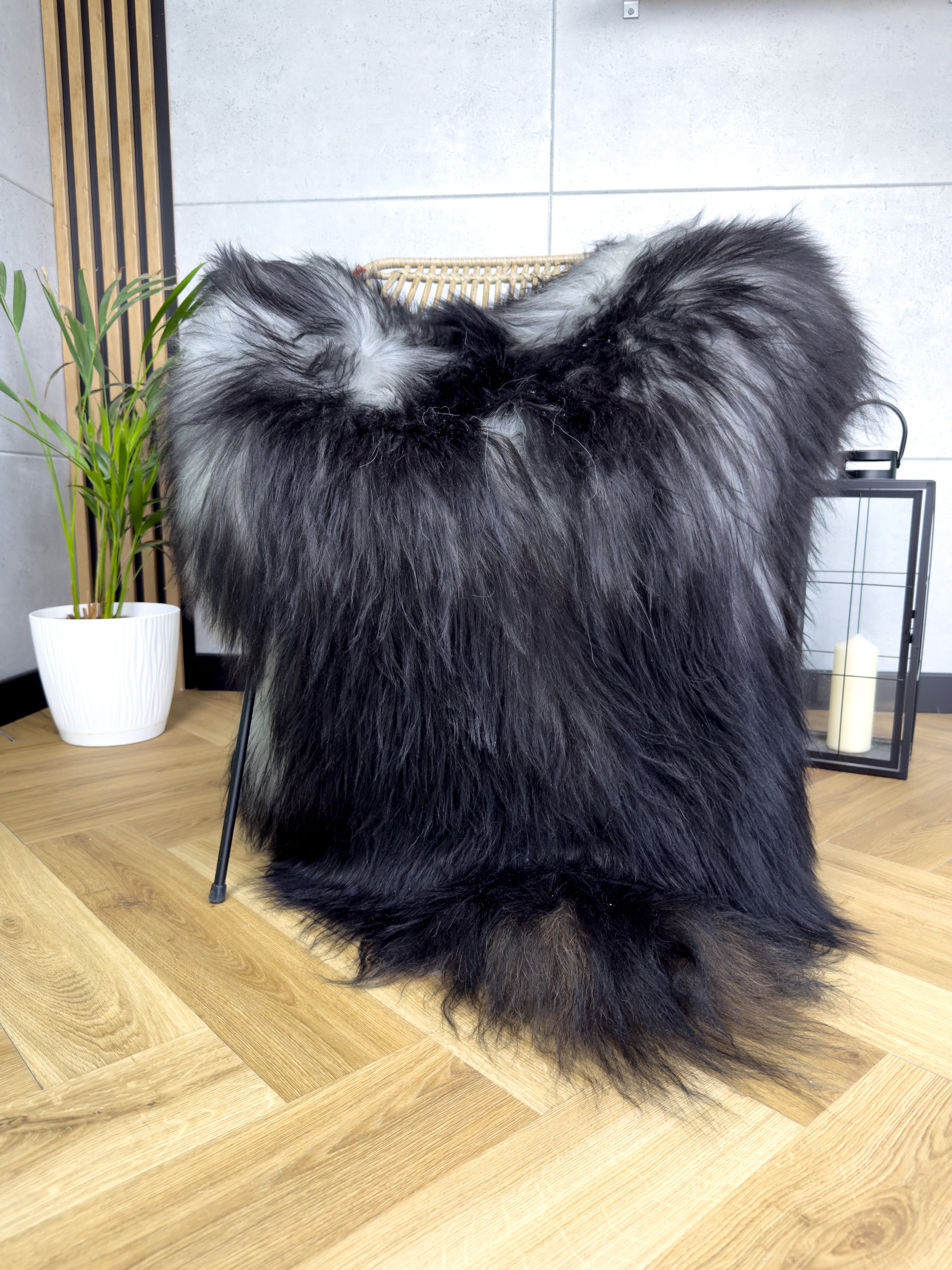 Large Icelandic black and gray sheepskin Rug