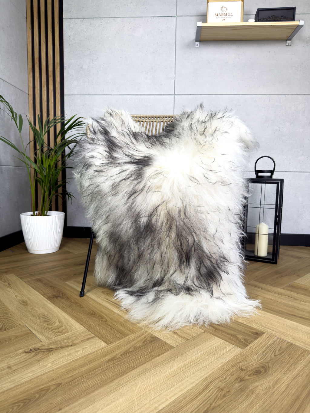 Large Icelandic white and black sheepskin Rug