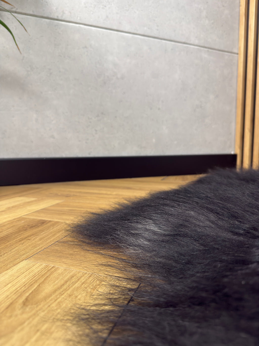 Large Icelandic black with grey sheepskin Rug