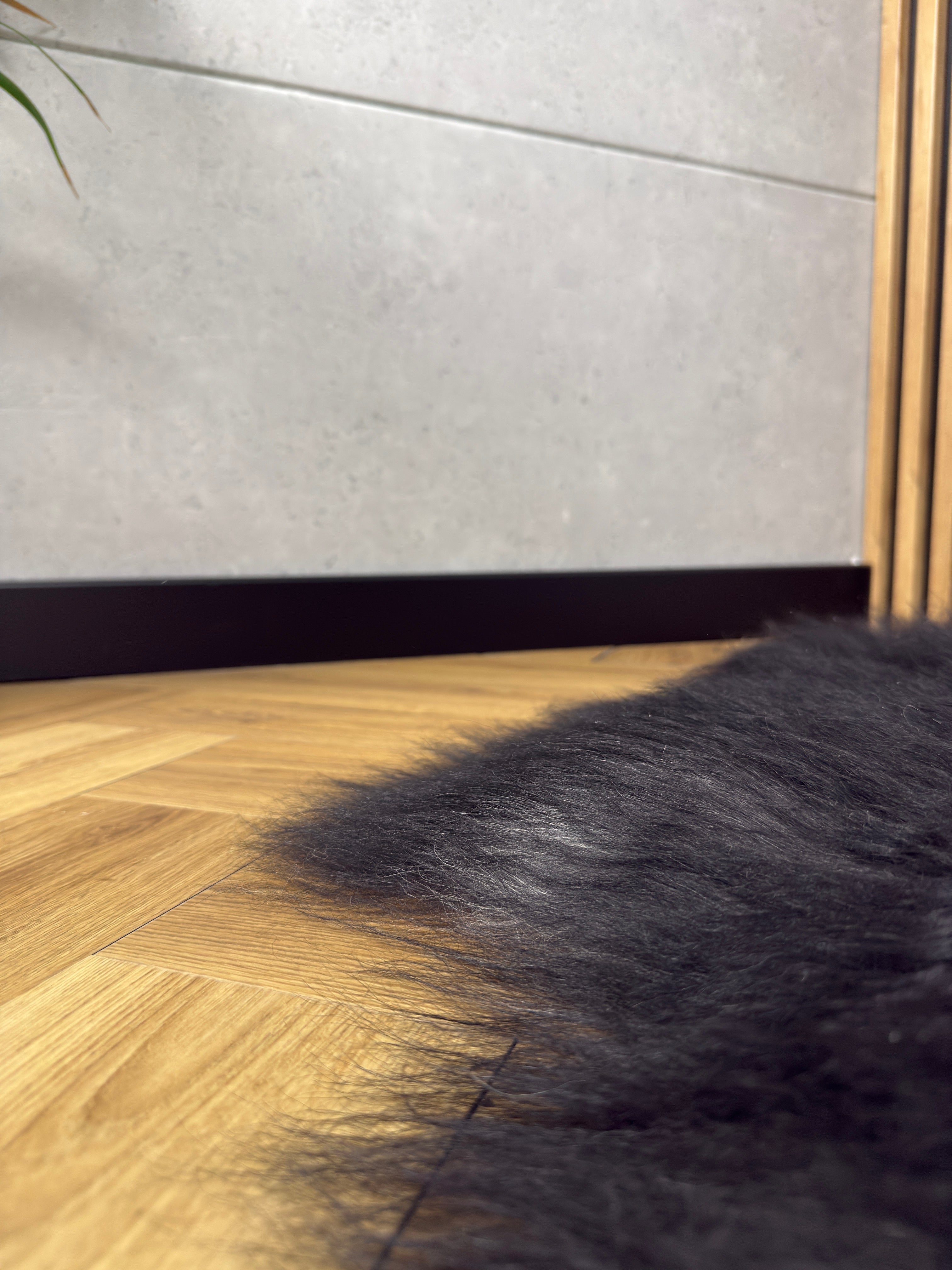 Large Icelandic black with grey sheepskin Rug