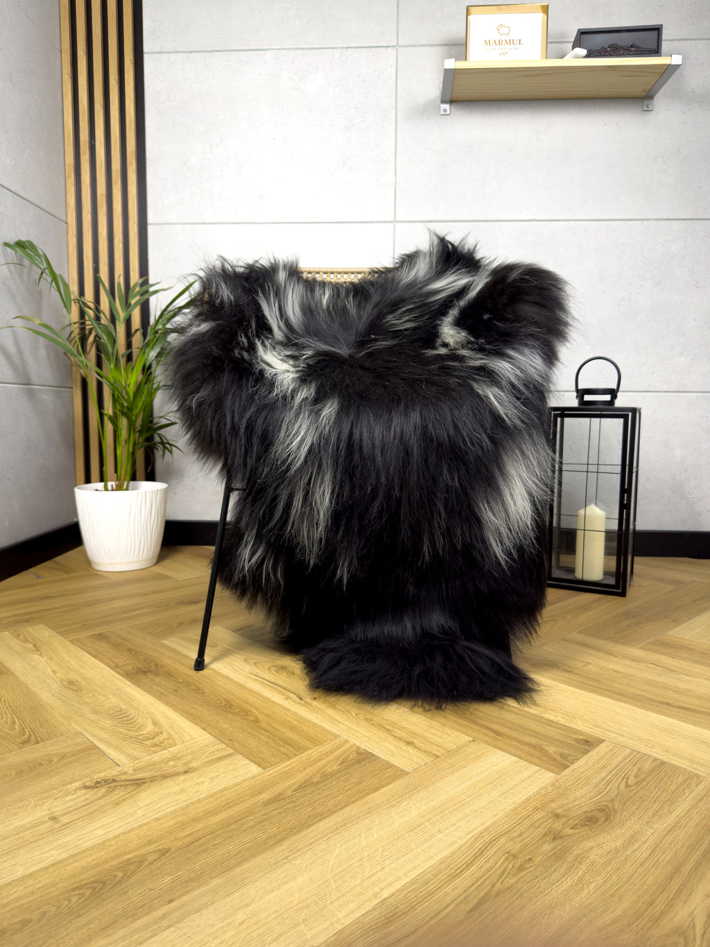 Large Icelandic white with black sheepskin Rug