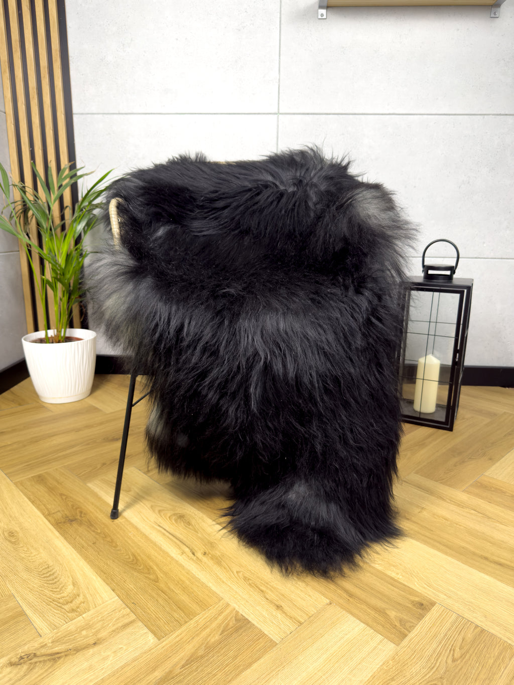 Large Icelandic black with grey sheepskin Rug