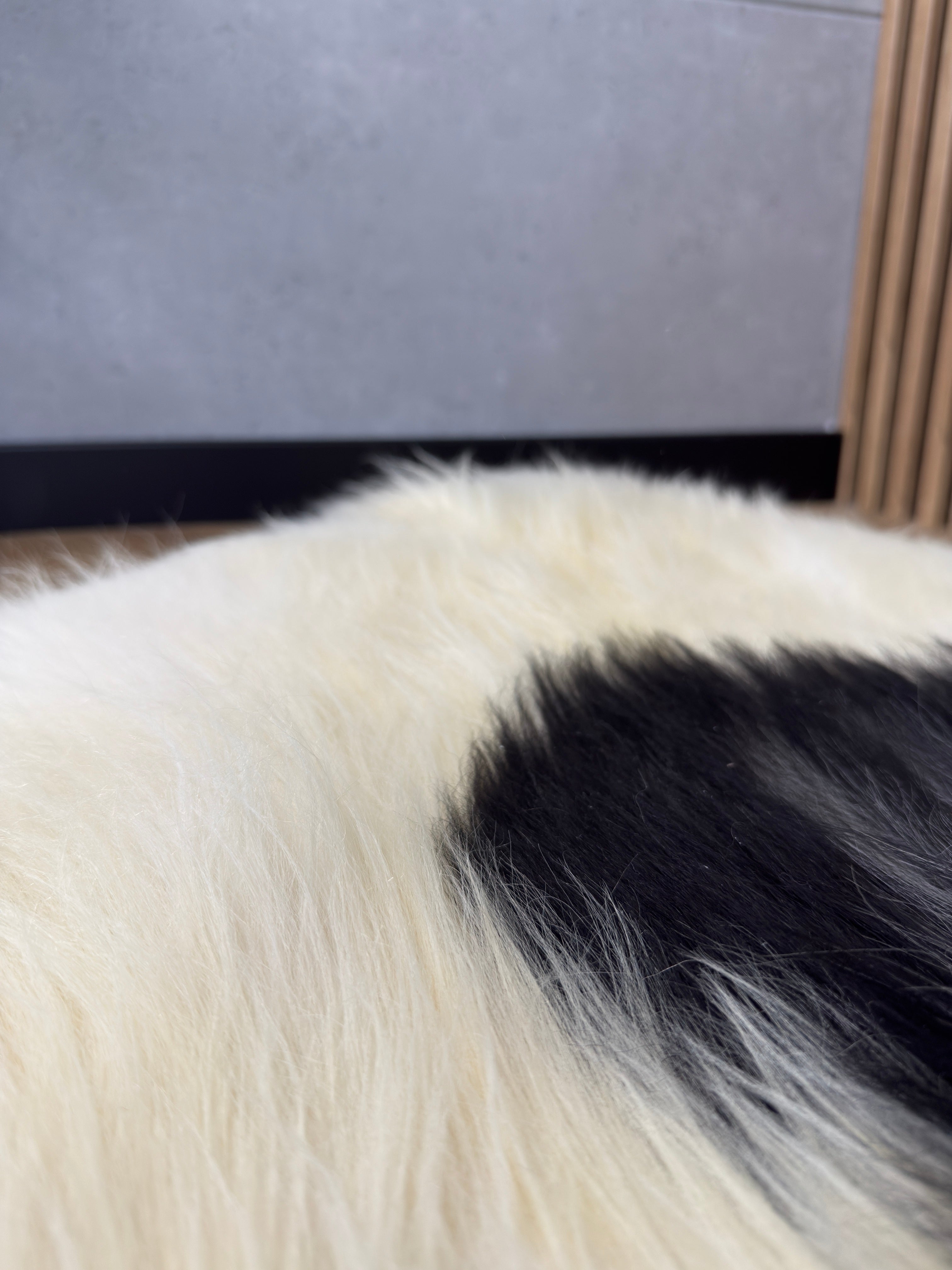 Large Icelandic white and black sheepskin Rug