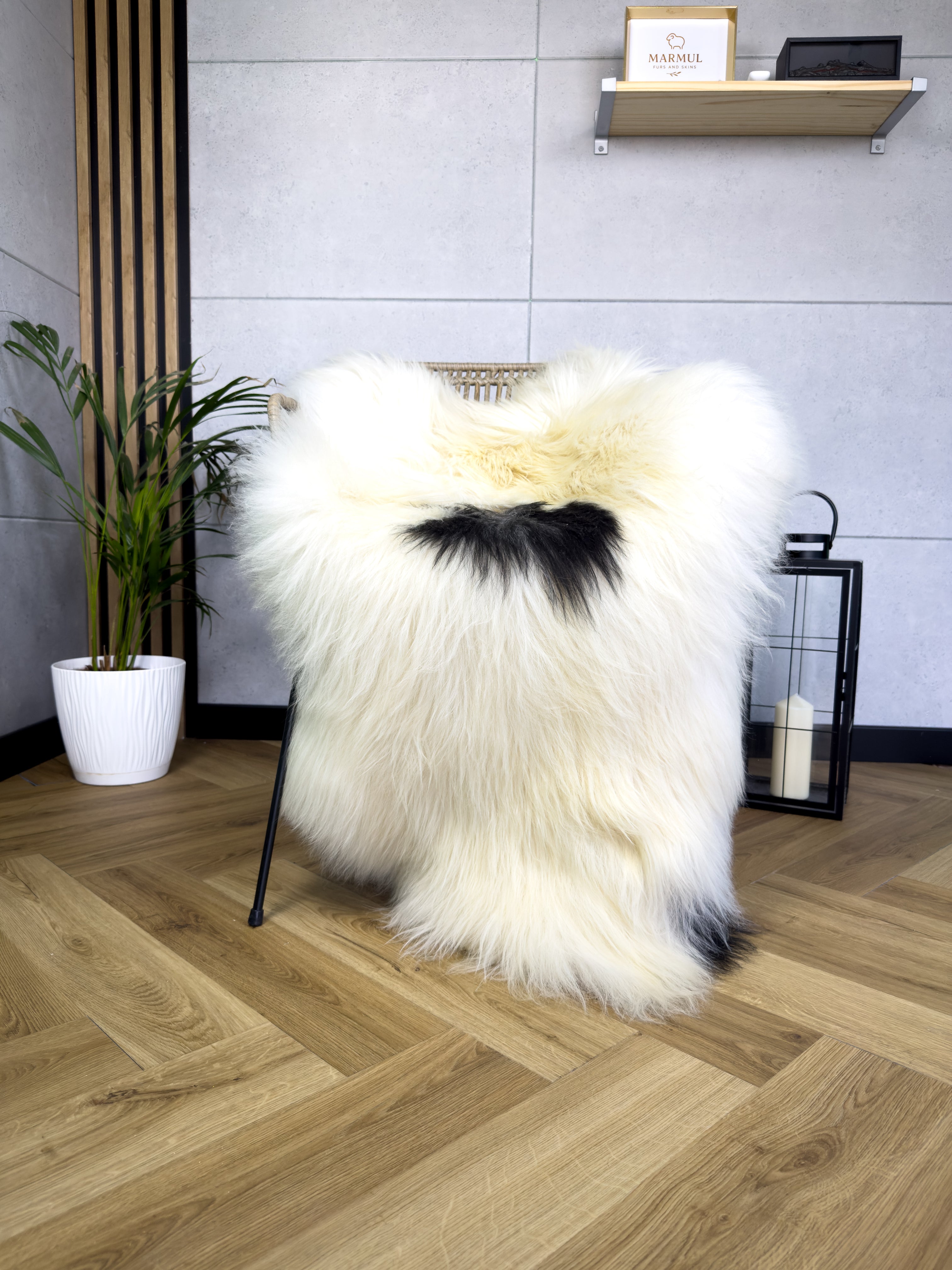 Large Icelandic white and black sheepskin Rug