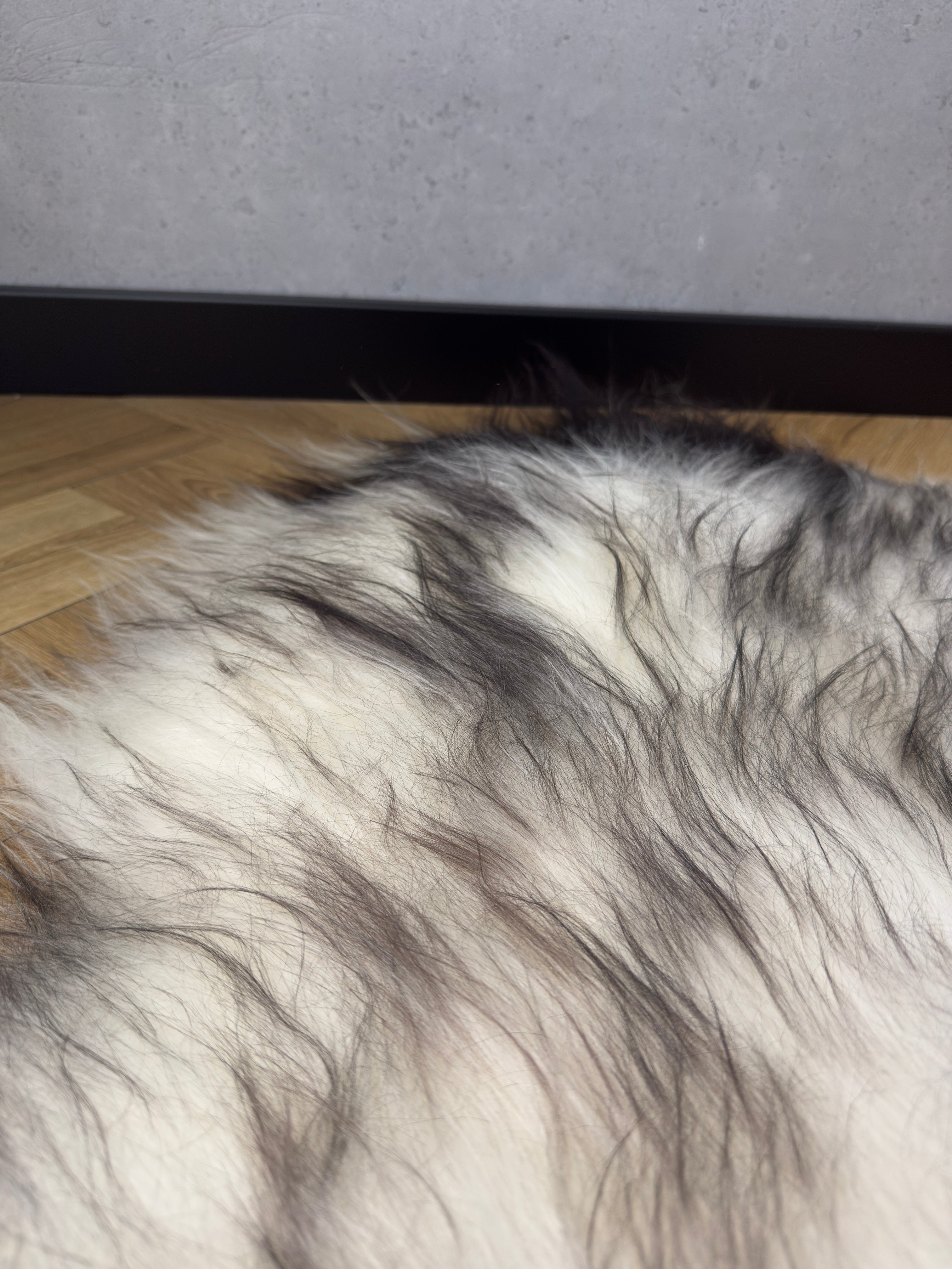 Large Icelandic white and black sheepskin Rug