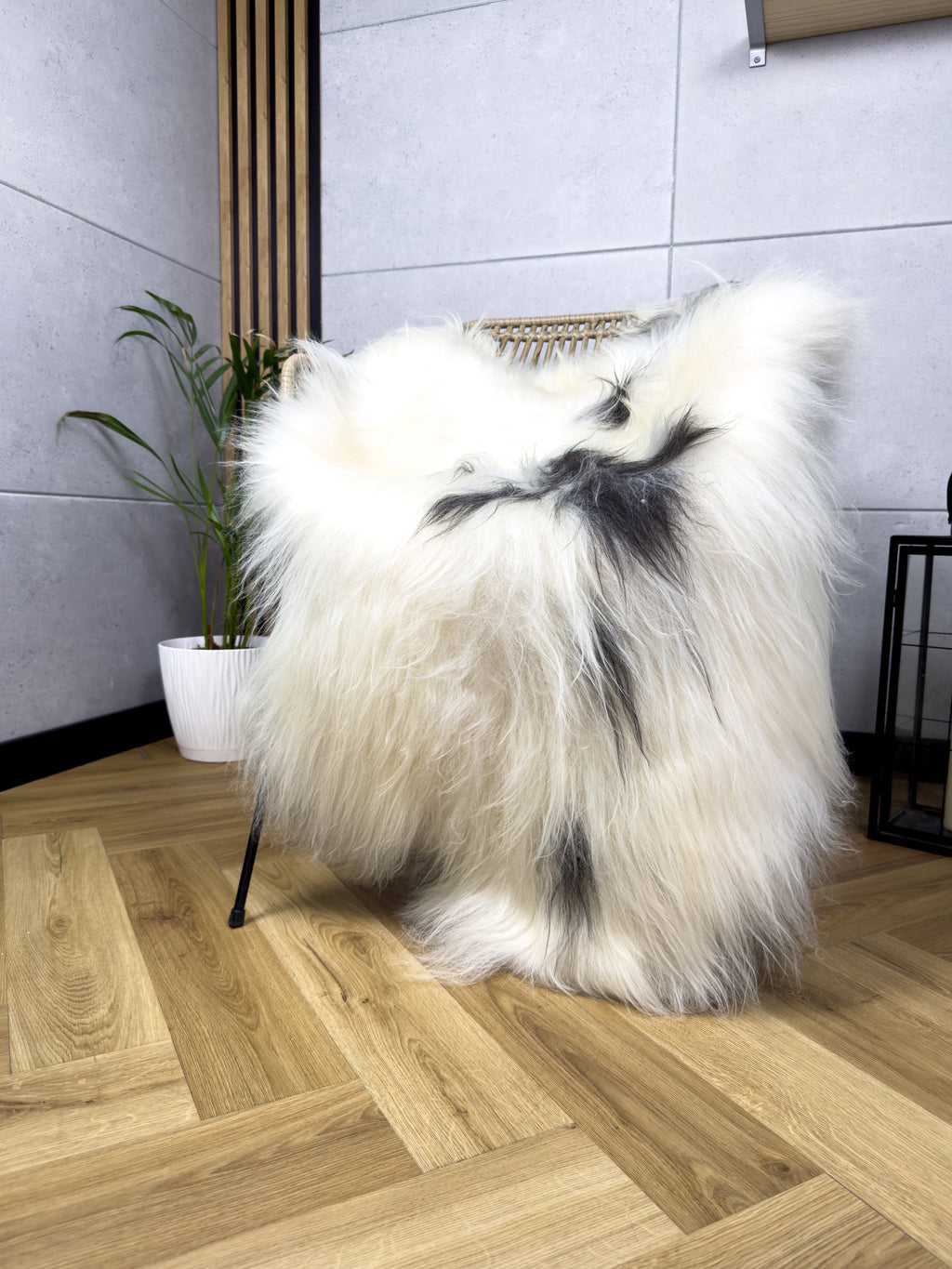 Large Icelandic white and grey sheepskin Rug
