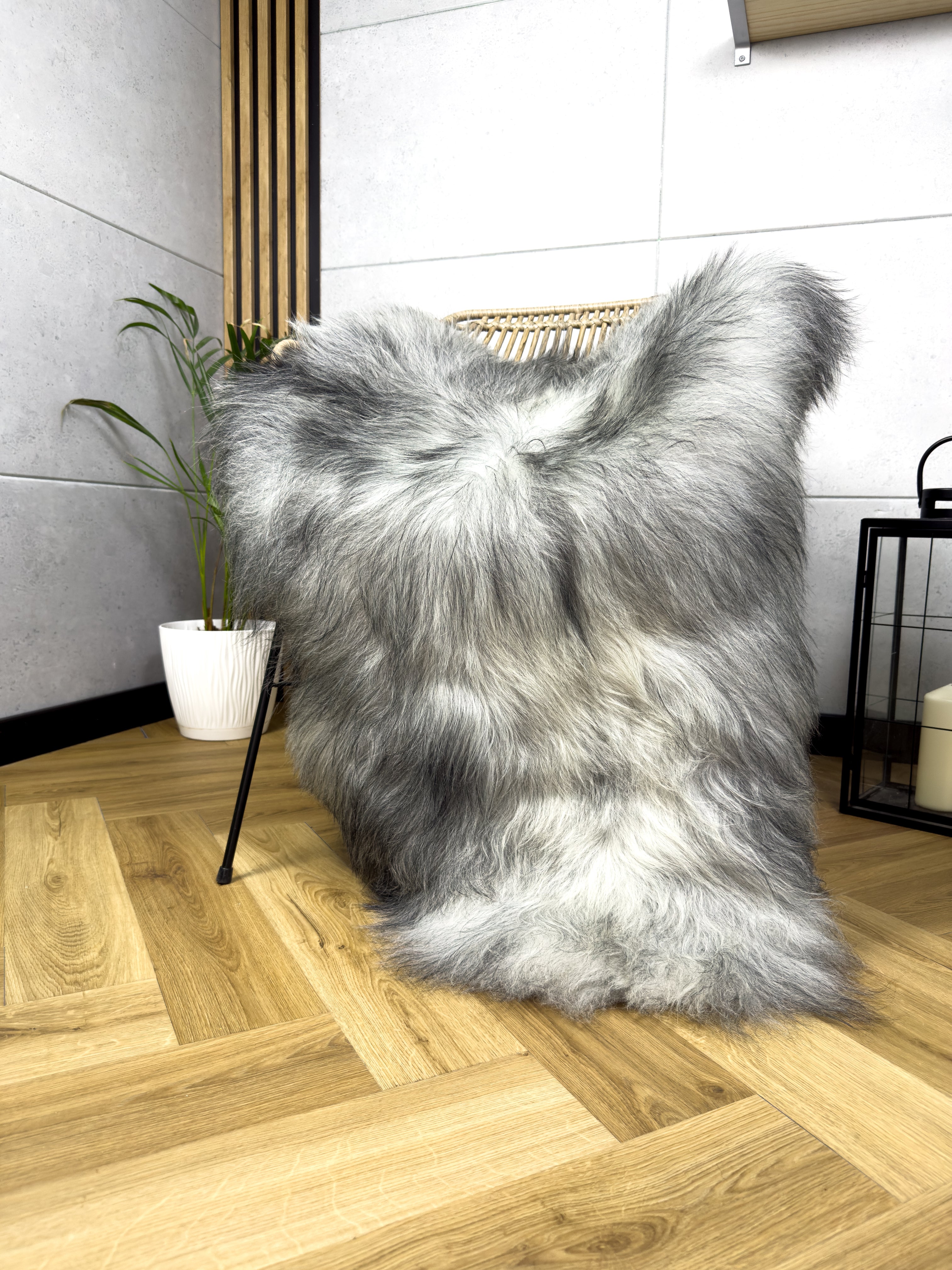 Large Icelandic white and gray sheepskin Rug
