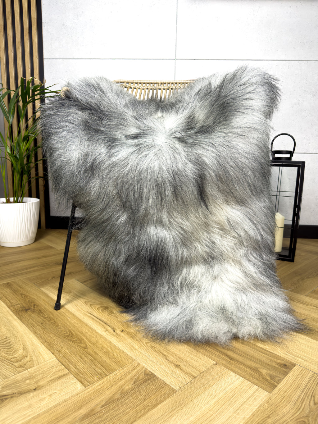 Large Icelandic white and gray sheepskin Rug
