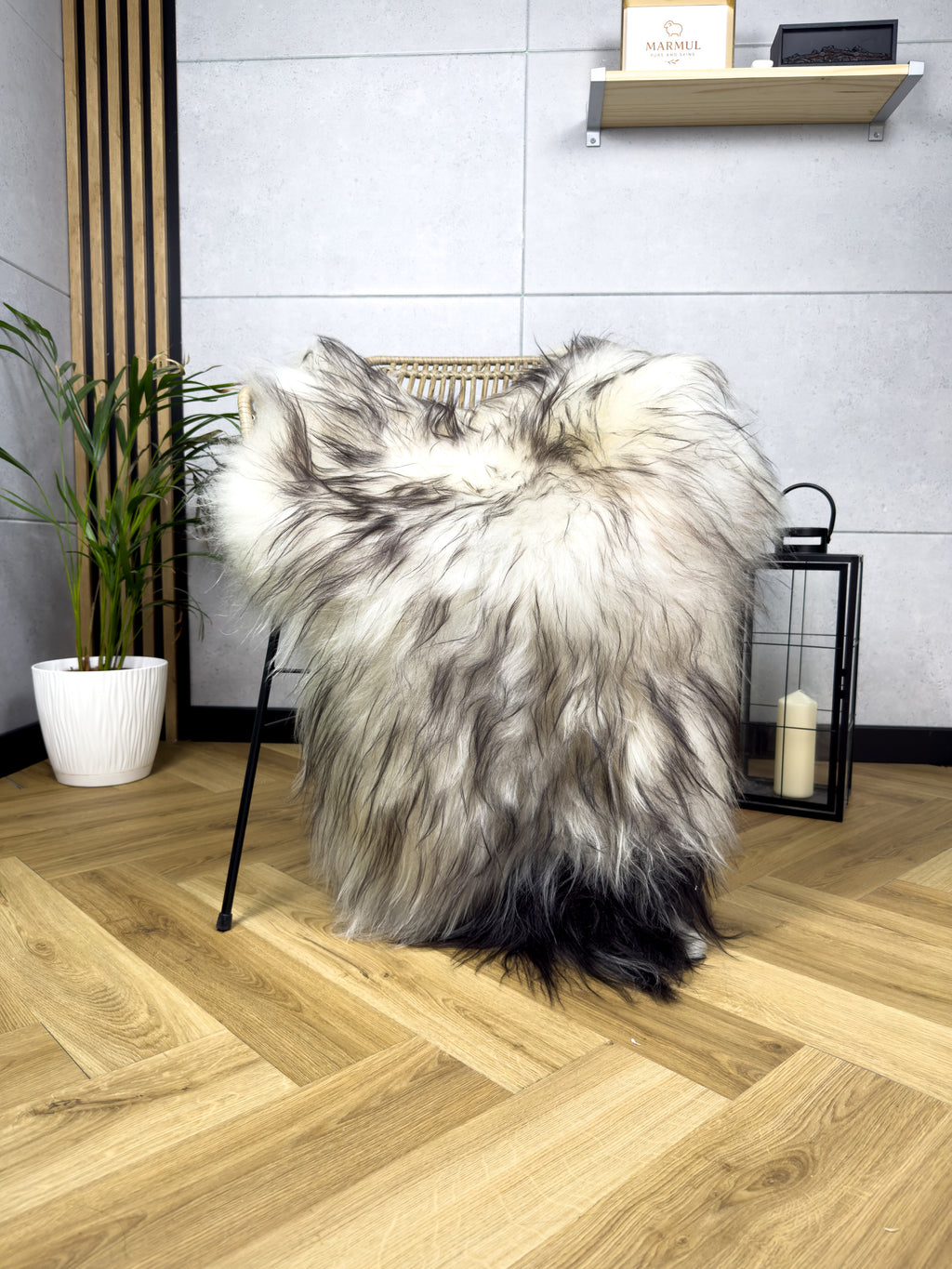 Large Icelandic white and black sheepskin Rug