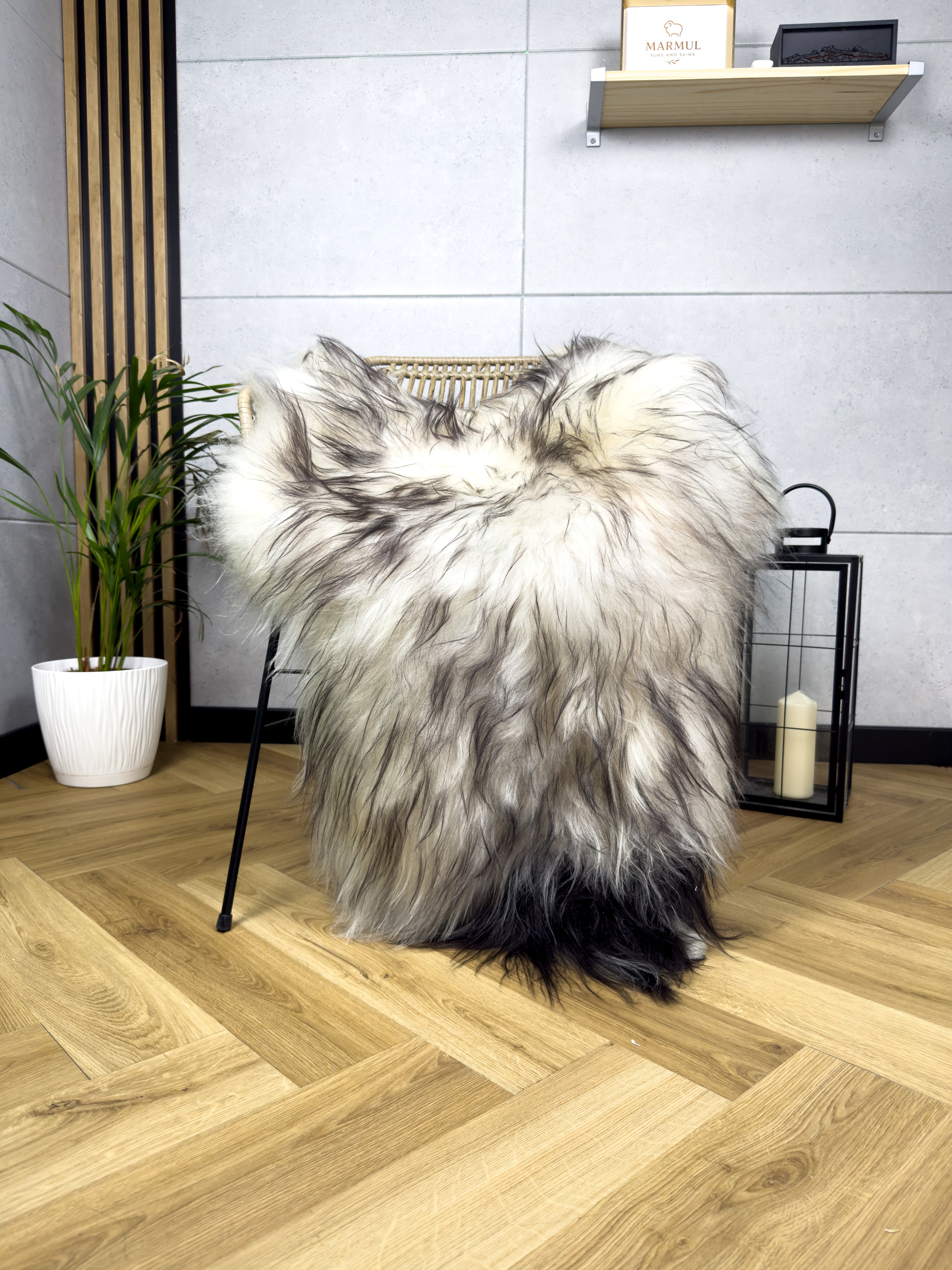 Large Icelandic white and black sheepskin Rug