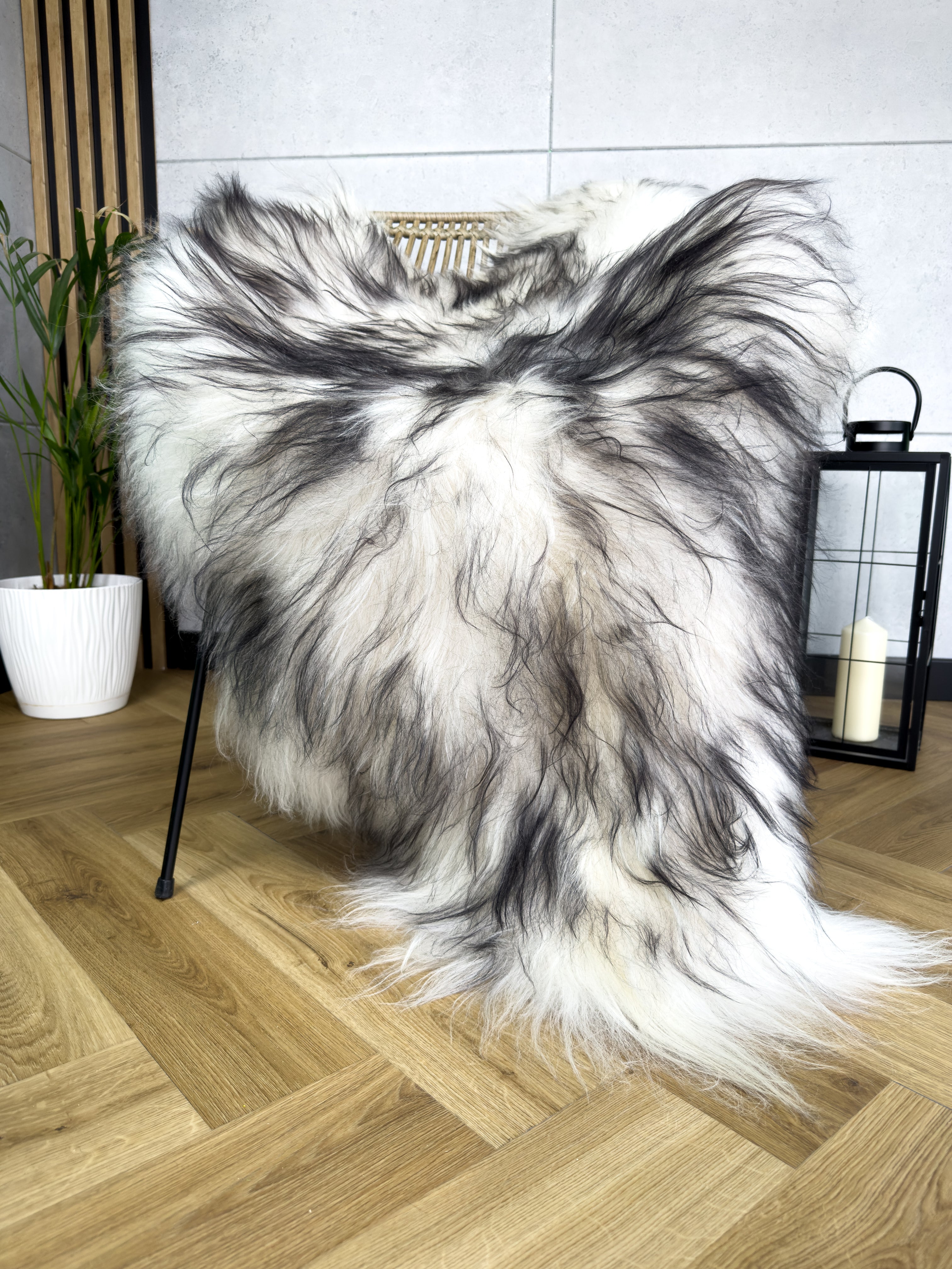 Large Icelandic white and black sheepskin Rug