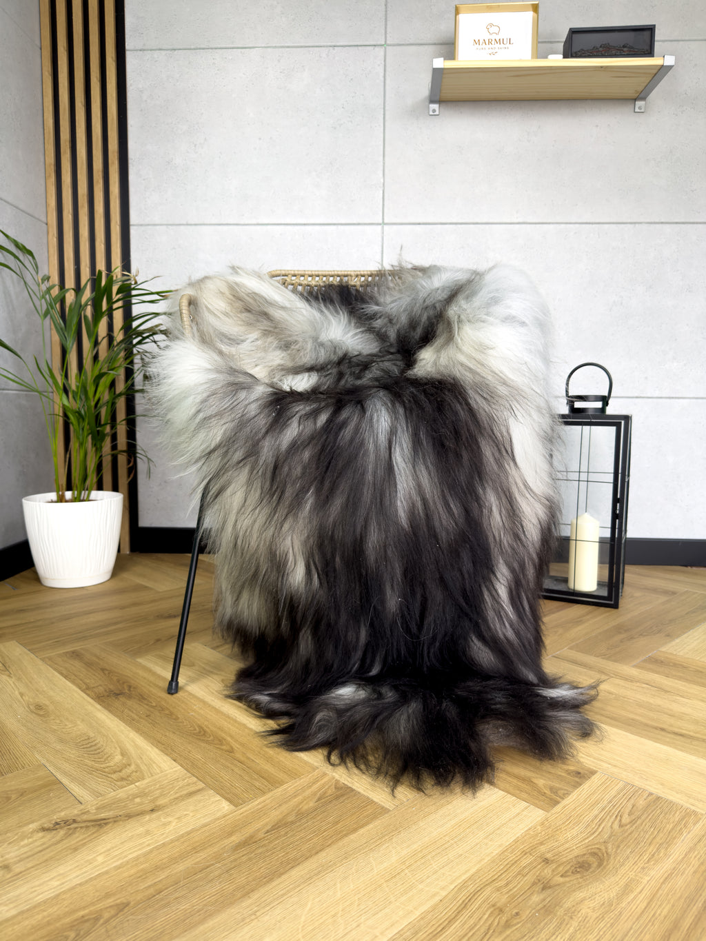 Large Icelandic black and gray sheepskin Rug
