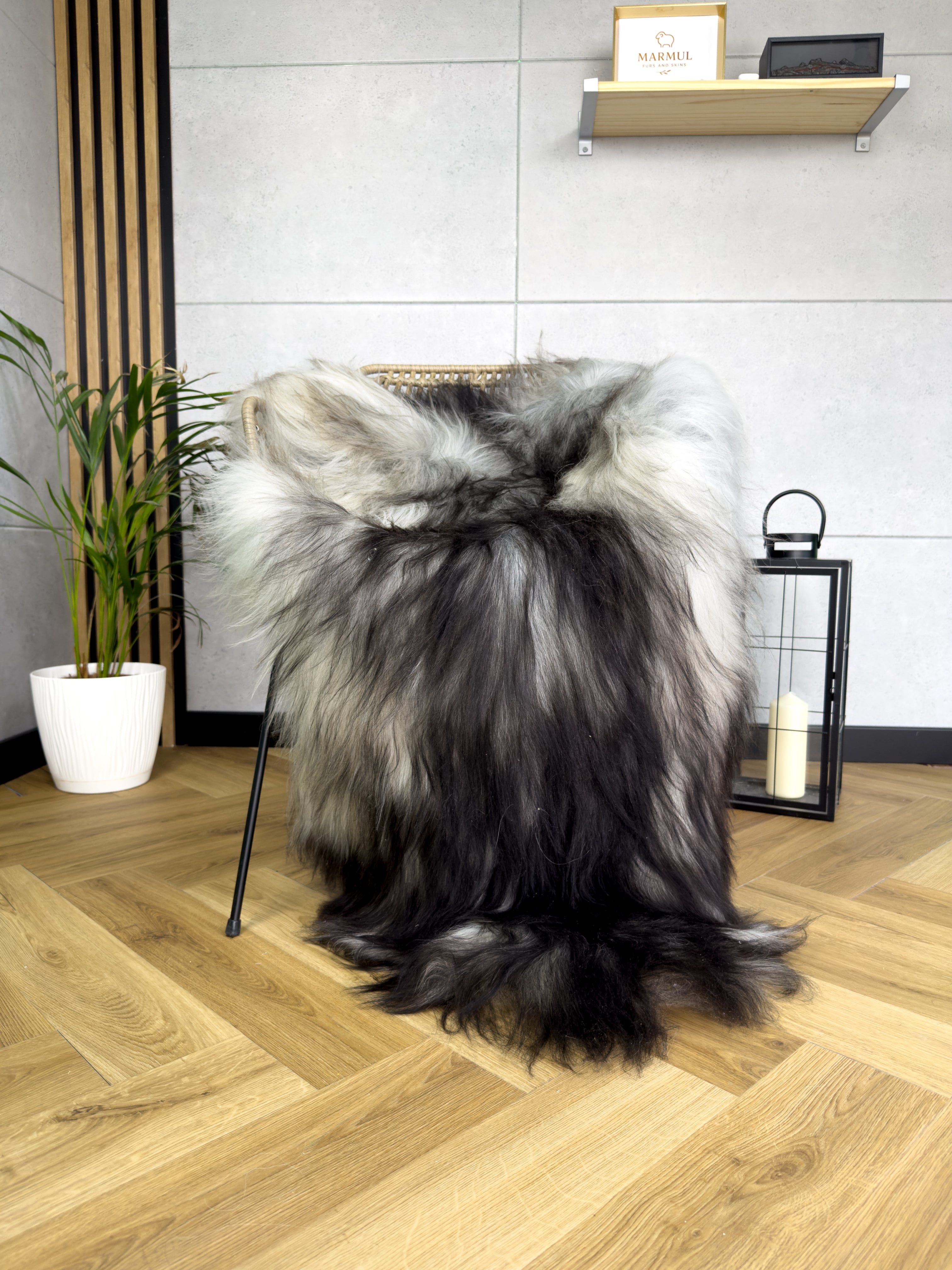 Large Icelandic black and gray sheepskin Rug