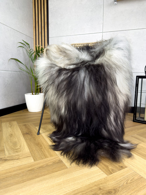 Large Icelandic black and gray sheepskin Rug