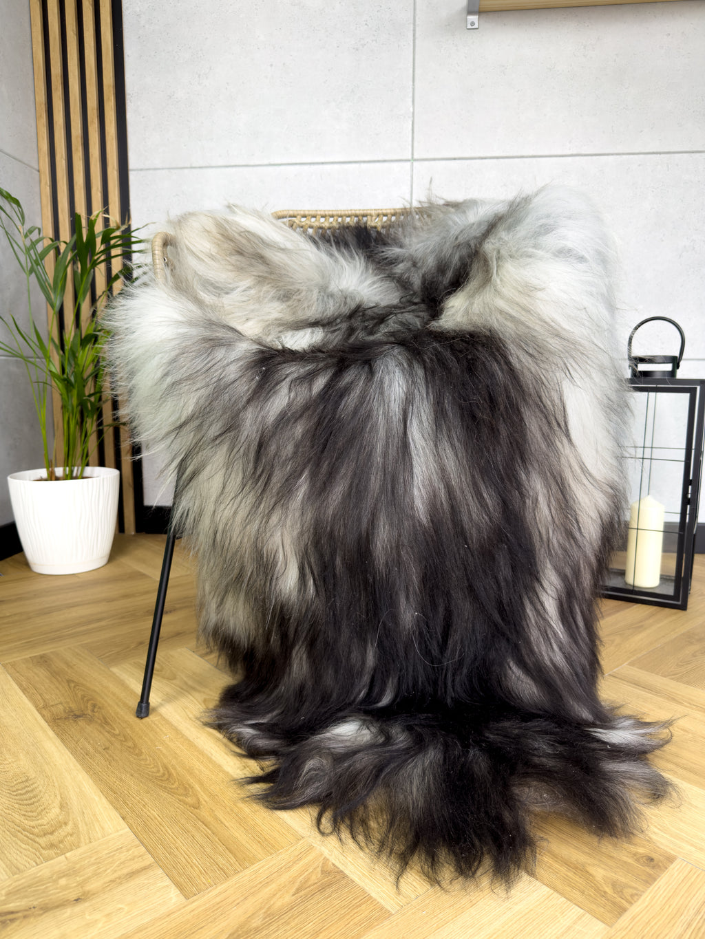Large Icelandic black and gray sheepskin Rug