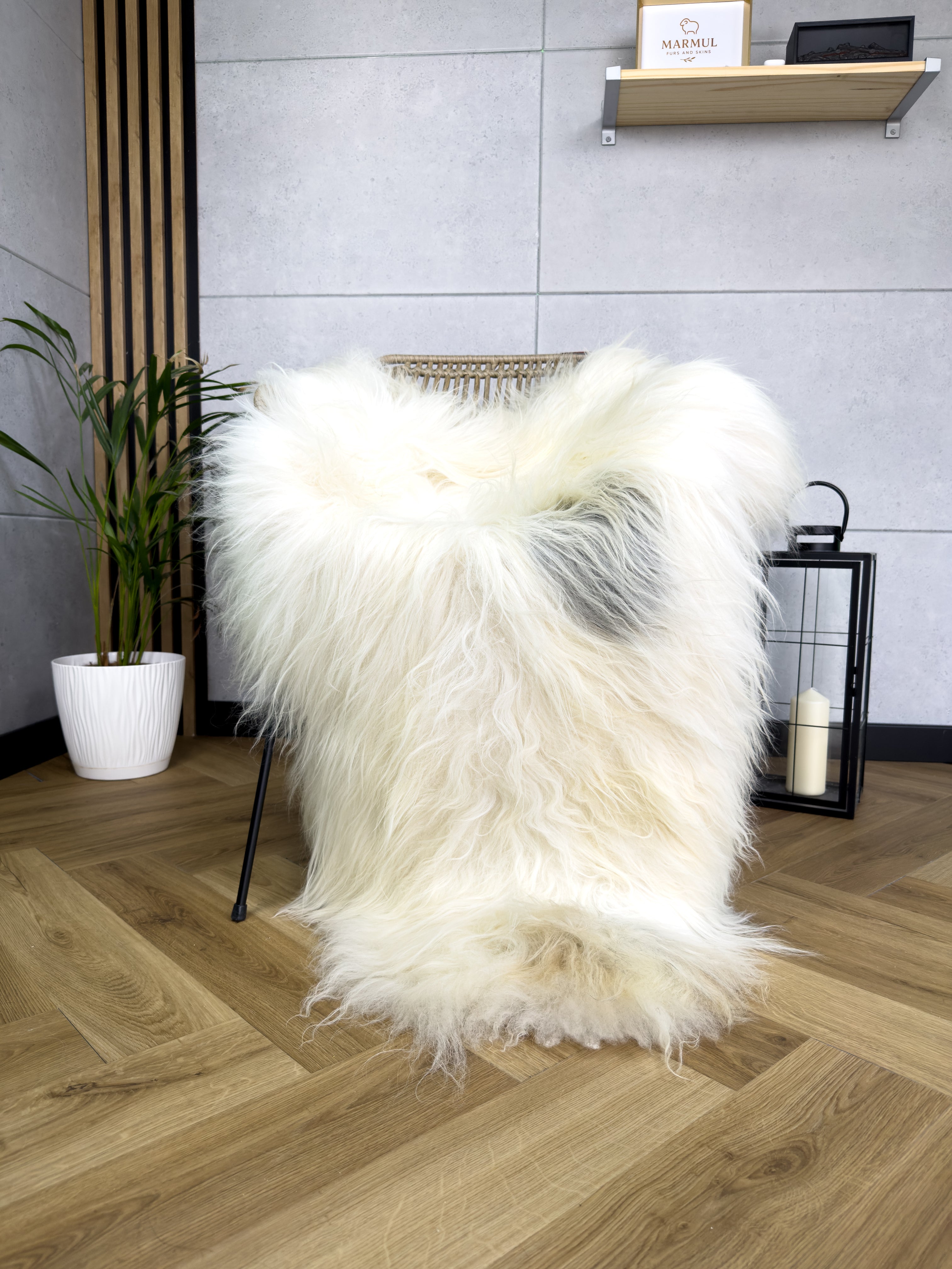 Large Icelandic white and gray sheepskin Rug