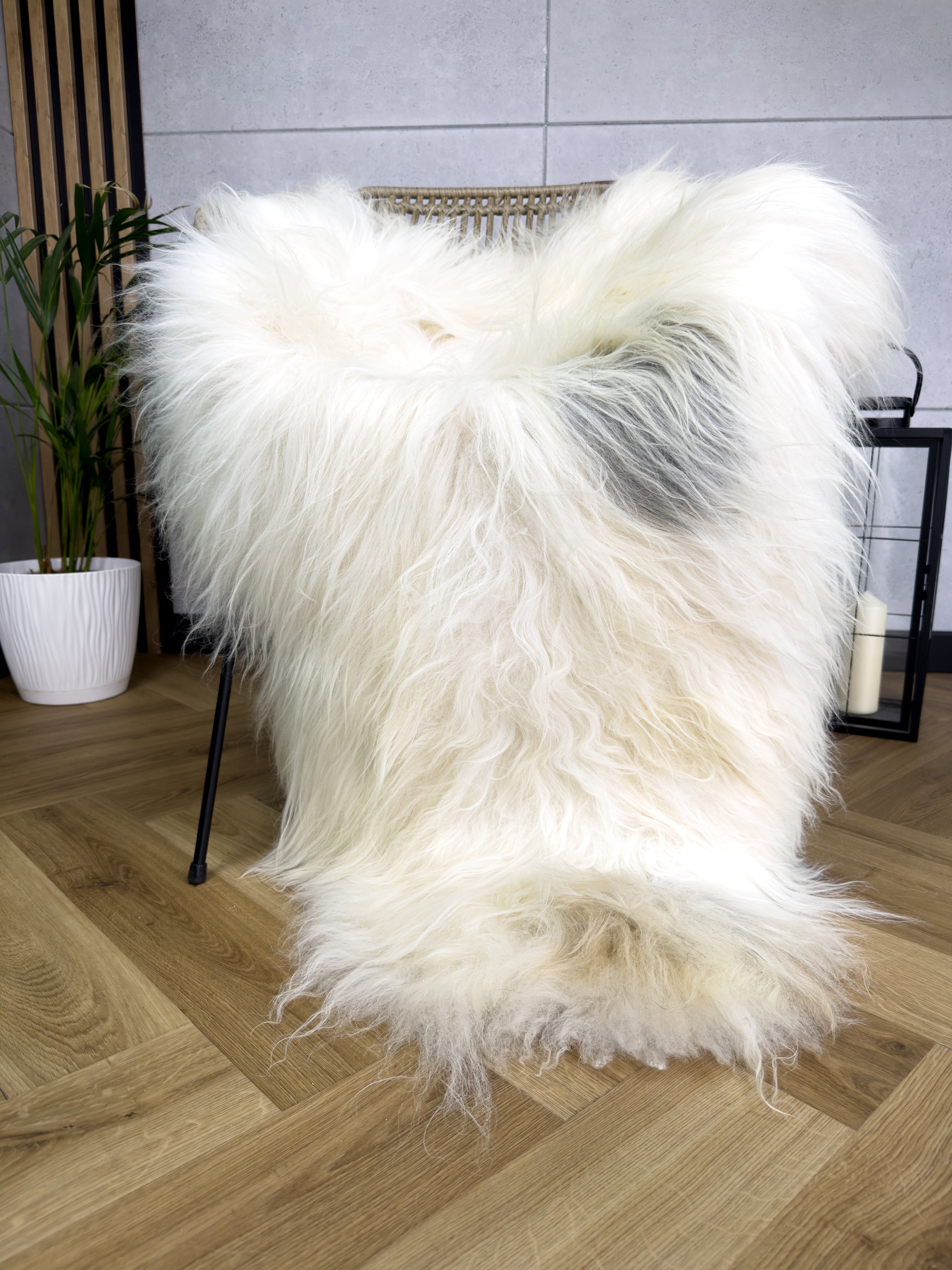 Large Icelandic white and gray sheepskin Rug