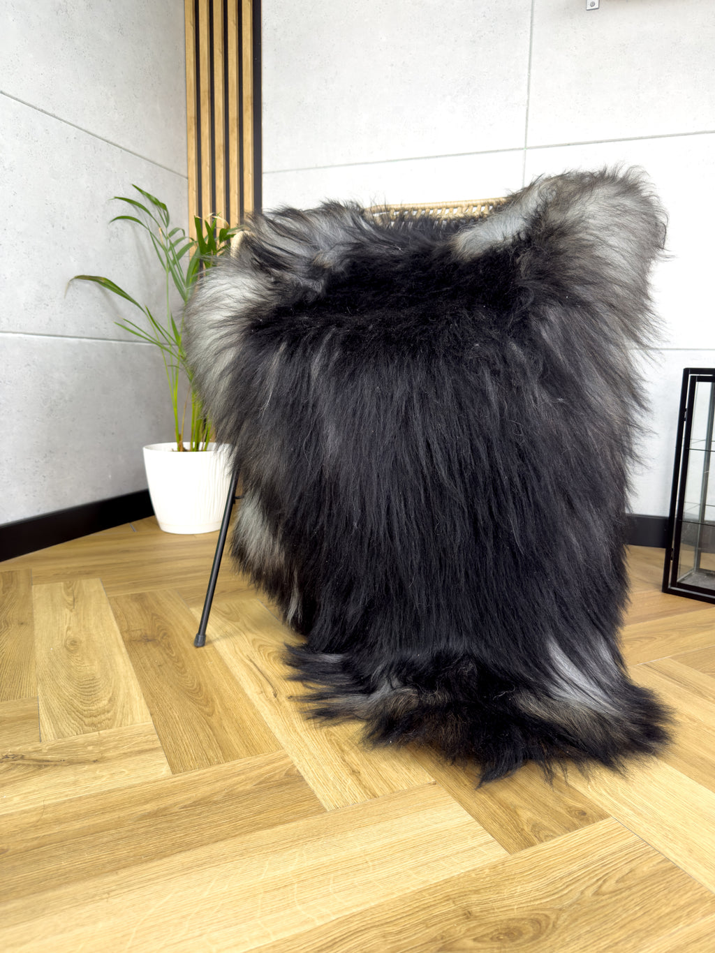 Large Icelandic black and gray sheepskin Rug