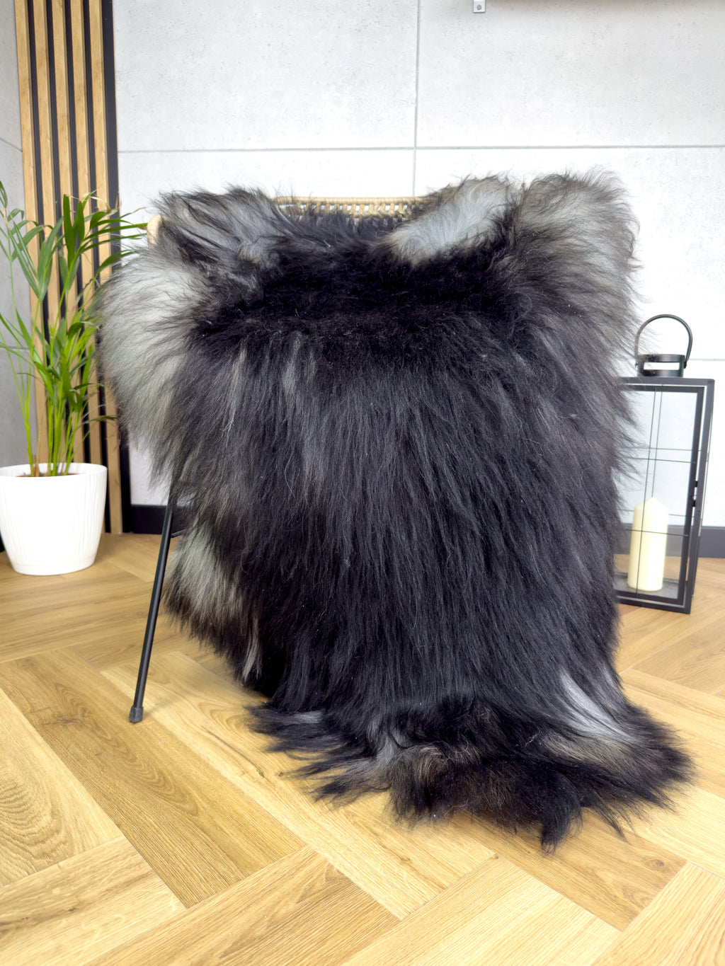 Large Icelandic black and gray sheepskin Rug