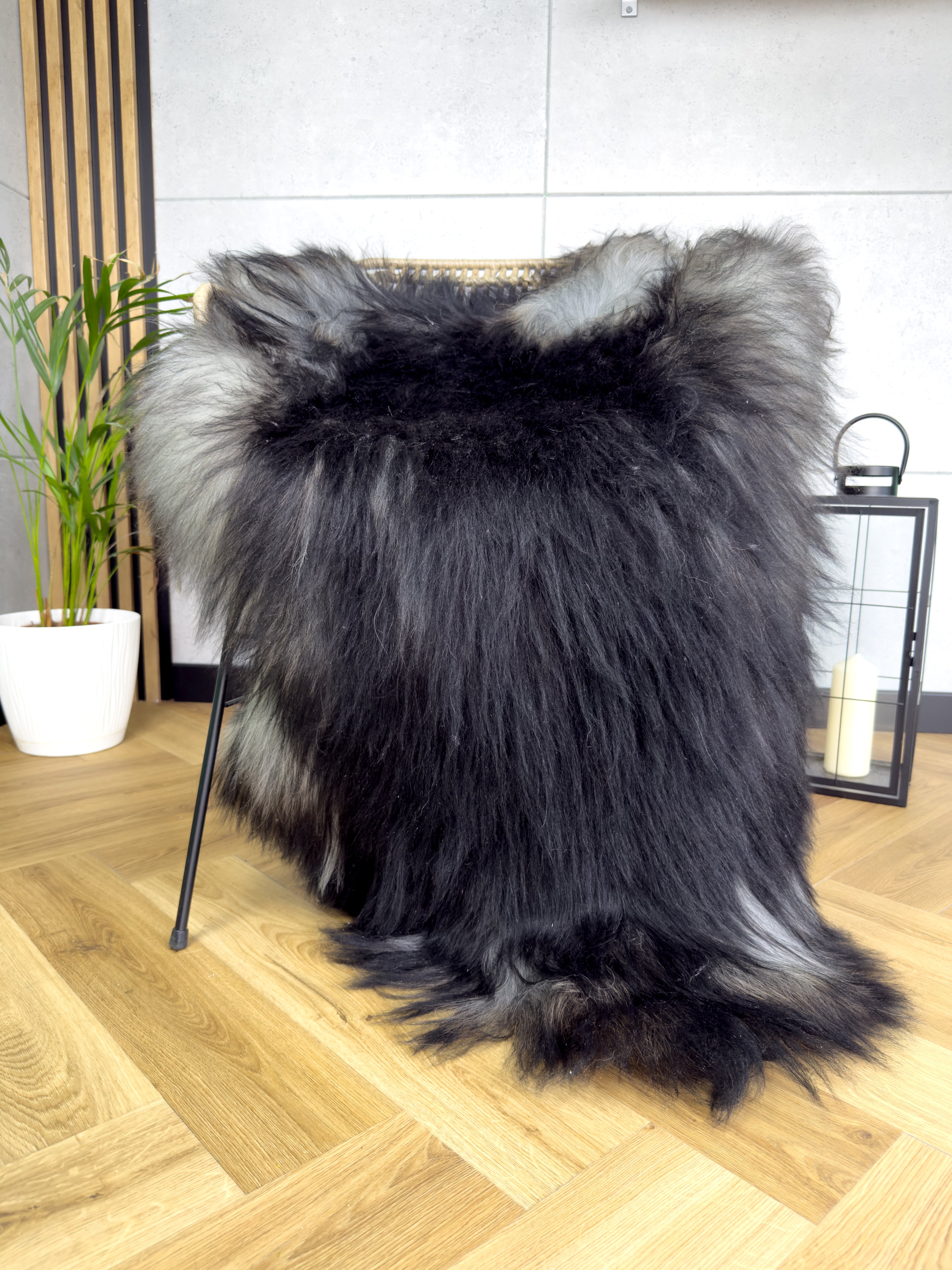 Large Icelandic black and gray sheepskin Rug