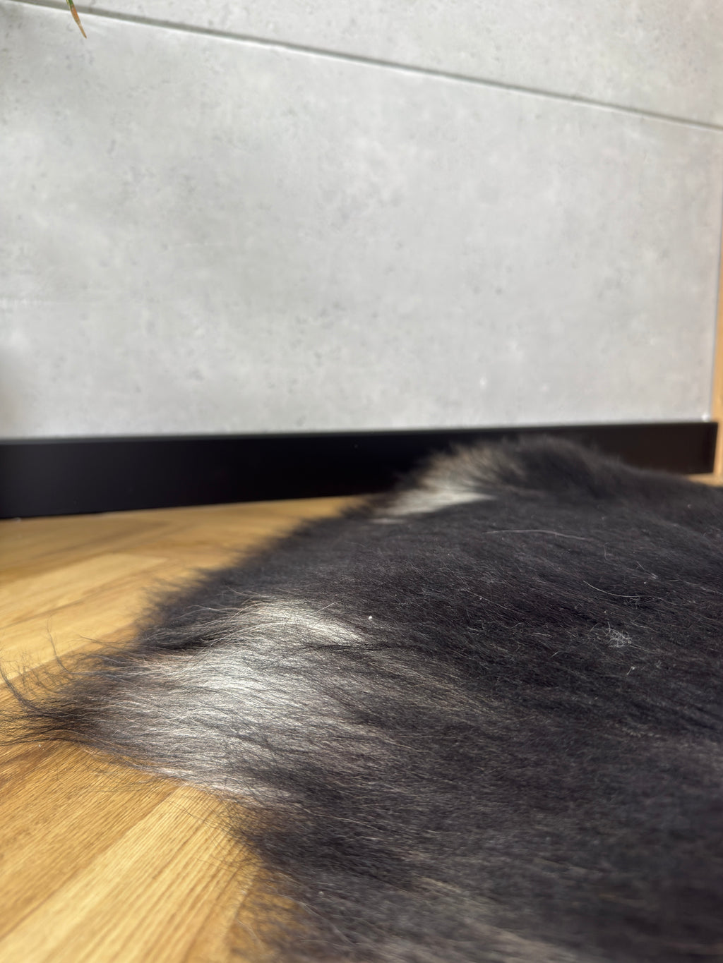 Large Icelandic black and gray sheepskin Rug