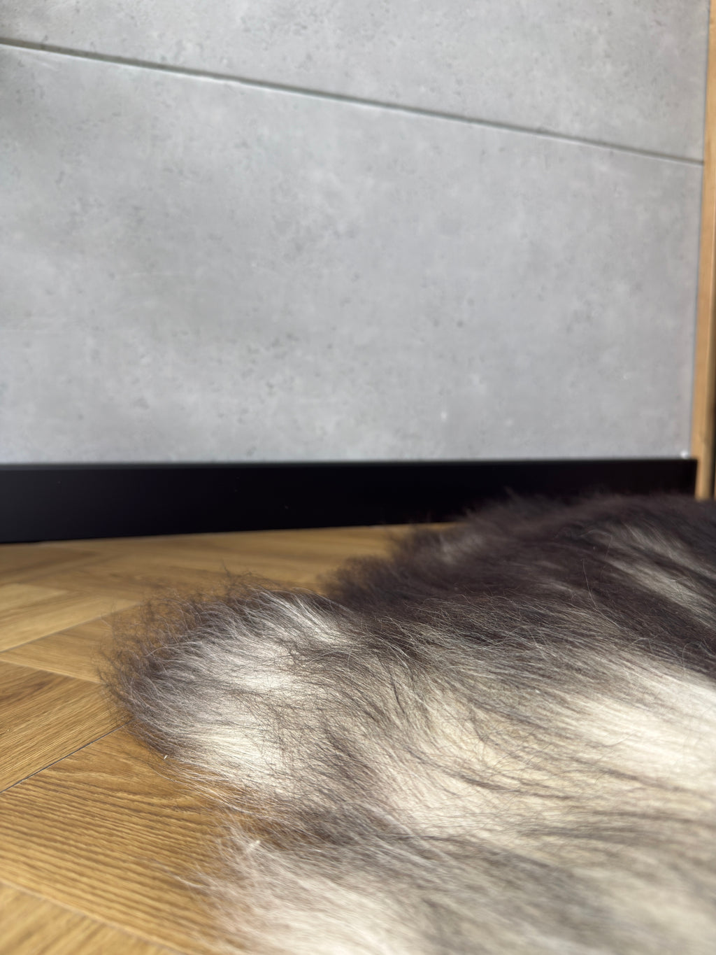 Large Icelandic black and gray sheepskin Rug