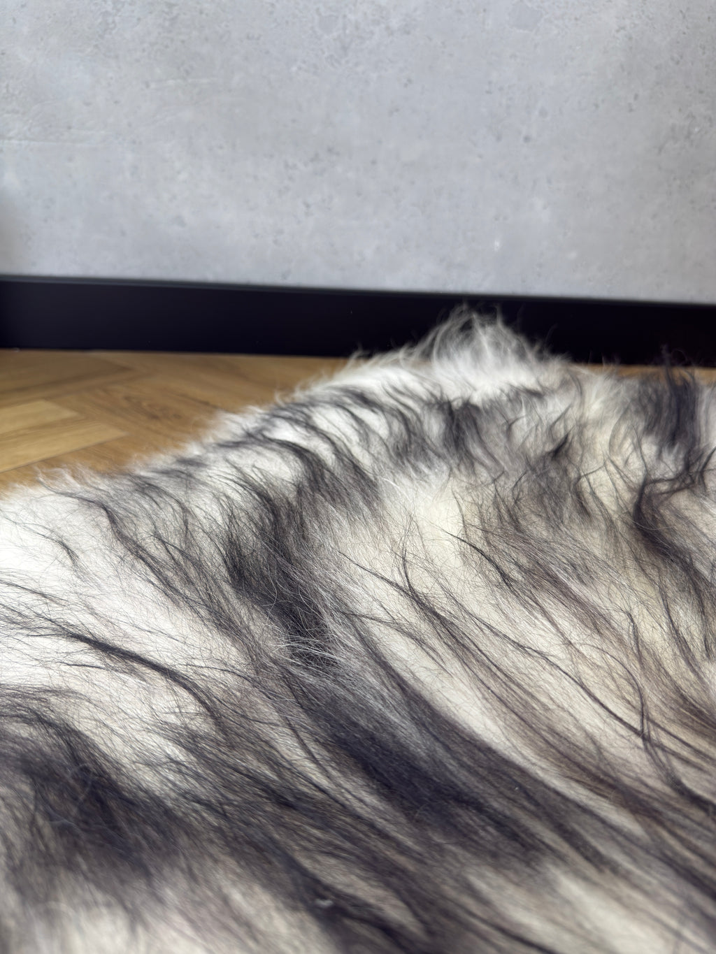 Large Icelandic white and black sheepskin Rug