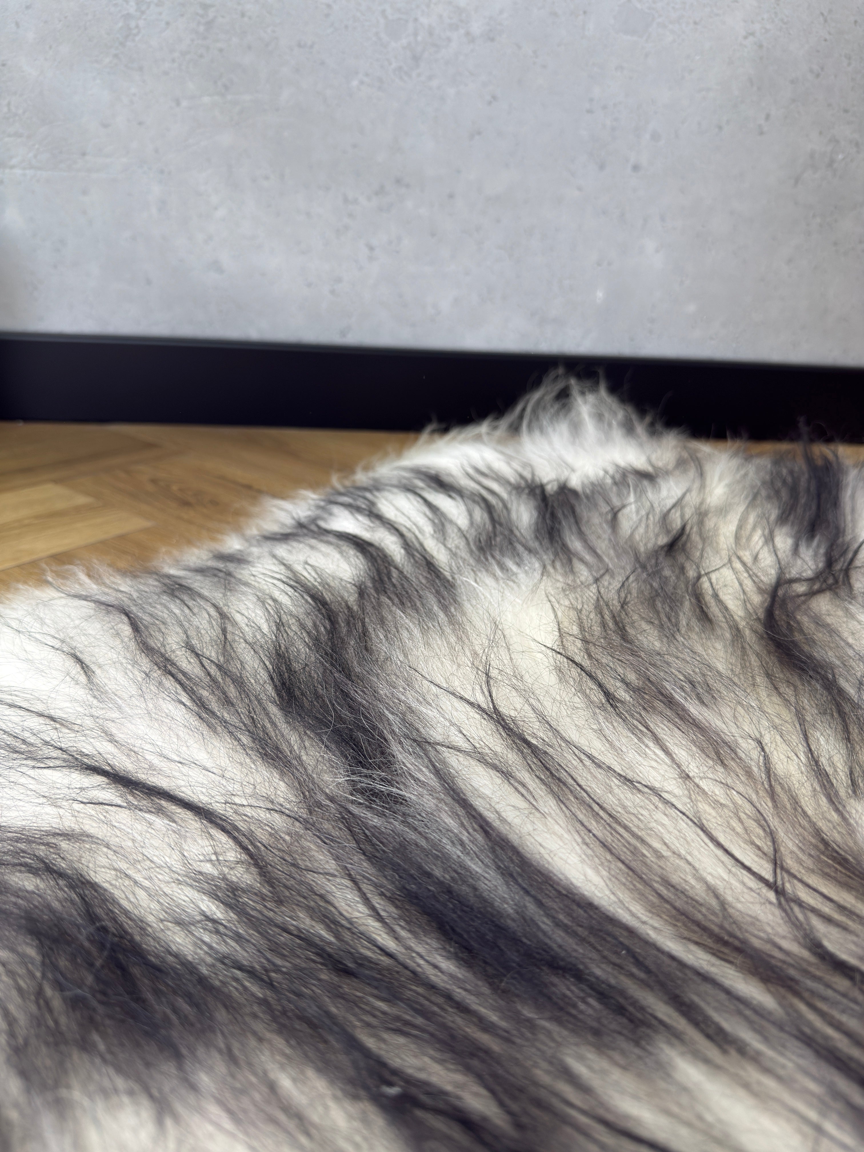 Large Icelandic white and black sheepskin Rug